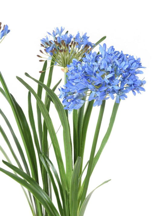 Kunstig Blå Agapanthus 90 Cm Innendørs Plante