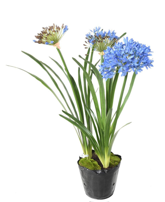 Kunstig Blå Agapanthus 90 Cm Innendørs Plante