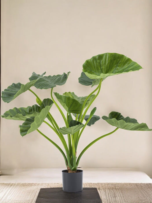 Alocasia Calioora - Kunstig Grønn Plante