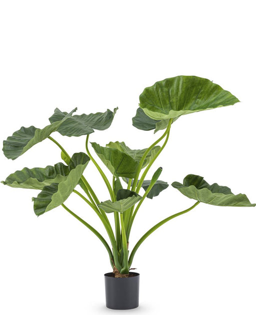 Alocasia Calioora - Kunstig Grønn Plante