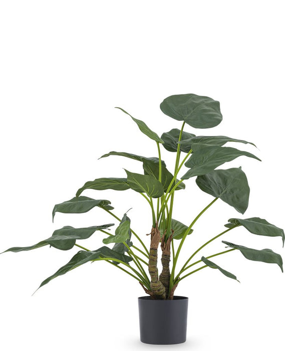 Alocasia Cucullata - Kunstig Grønn Plante