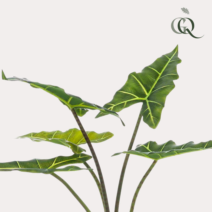 Alocasia Kunstig