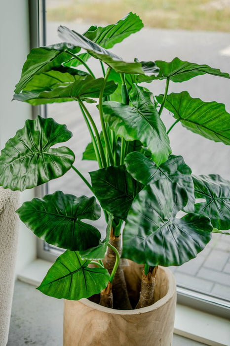 Alocasia - Stor Kunstig Plante