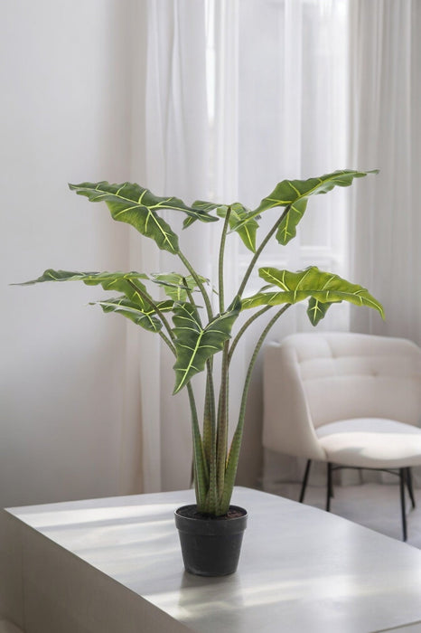 Alocasia Kunstig Plante - H100Cm, Ø12Cm