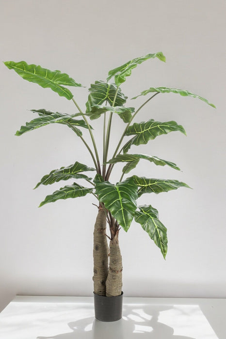 Alocasia Kunstig Plante - H150Cm, Ø12Cm