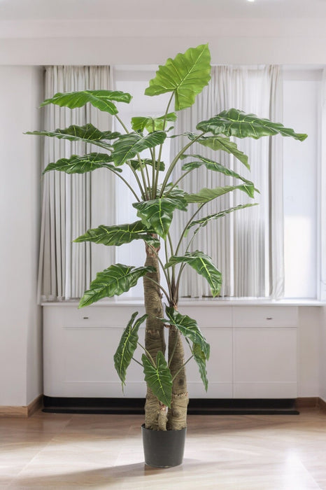 Alocasia Kunstig Plante - H180Cm, Ø15Cm