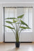 Alocasia Kunstig Plante - H90Cm, Ø14Cm