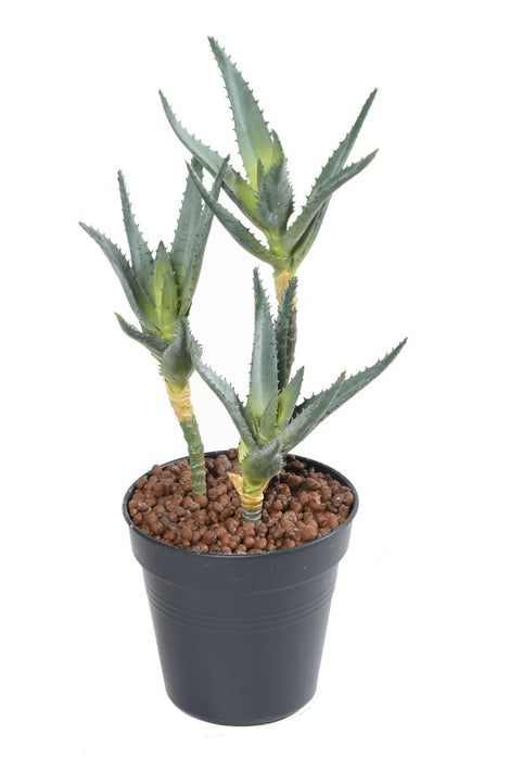 Kunstig Aloe På Stake Sett Med 3 H35Cm Grønn