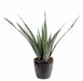 Kunstig Aloe Ferox I Pot For Outdoor 65 Cm