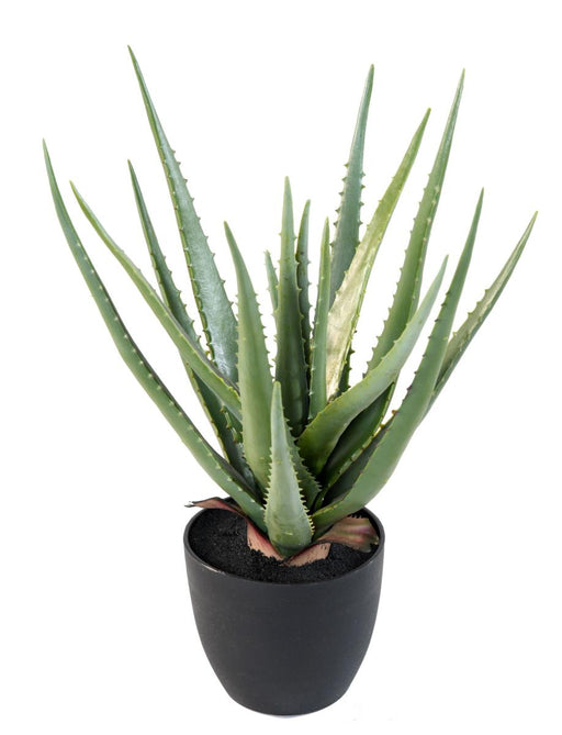 Kunstig Aloe Vera H.48Cm For Interiørdekorasjon