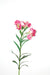 Kunstig Alstroemeria Rosa 60 Cm Dekorativ Blomst