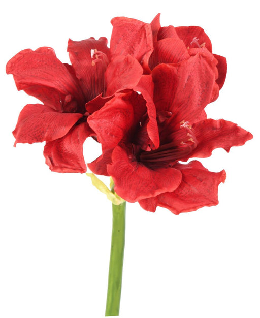 Kunstig Amaryllis Rød 2 Blomster 1 Knopp 66 Cm