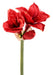 Kunstig Amaryllis Rød 75 Cm Med Stilk