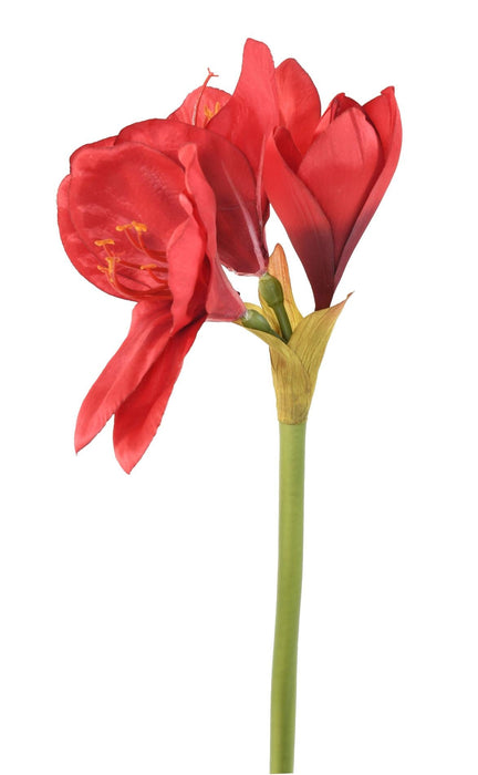 Rød Kunstig Amaryllis Med Stengel 60 Cm