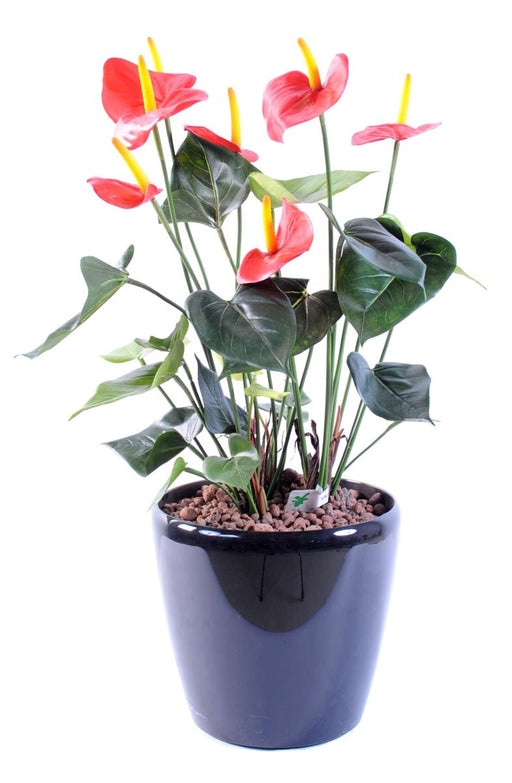 Kunstig Anthurium I Rød Potte Interiørdekorasjon 50Cm