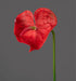 Kunstig Anthurium Rød Stilk 66 Cm Blomsterdekorasjon