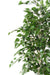 Artificial Birch Tree 180Cm Interiørdekorasjon