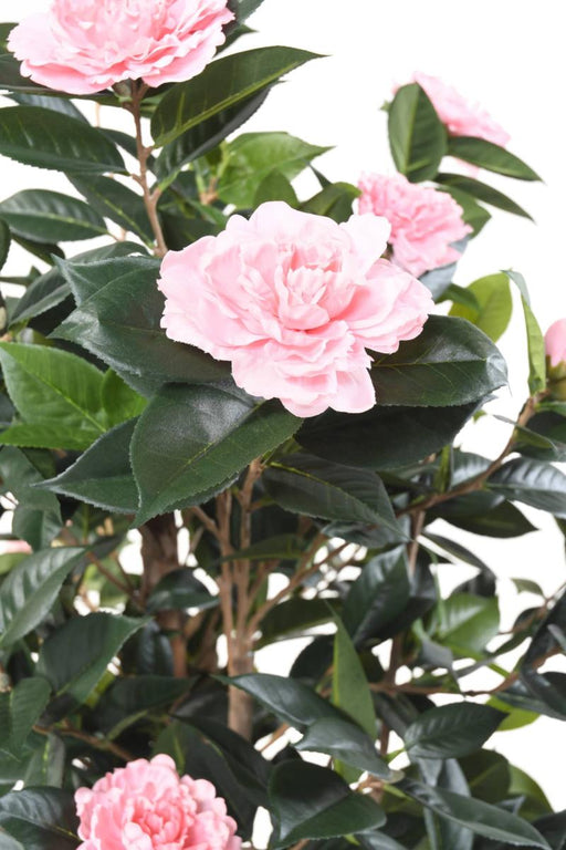 Kunstig Camellia Japonica Tre 12 Blomster 160 Cm