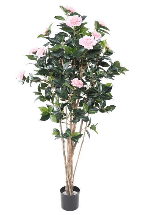 Kunstig Camellia Japonica Tre 12 Blomster 160 Cm