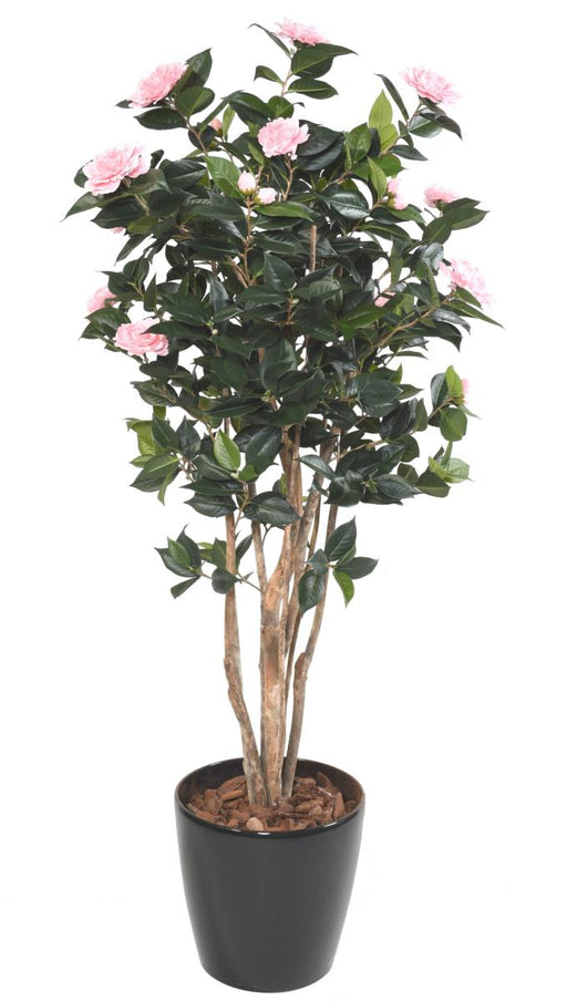 Kunstig Camellia Japonica Tre 12 Blomster 160 Cm