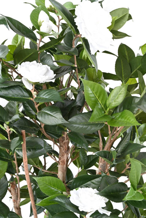 Kunstig Camellia Japonica Tre 12 Blomster 160Cm