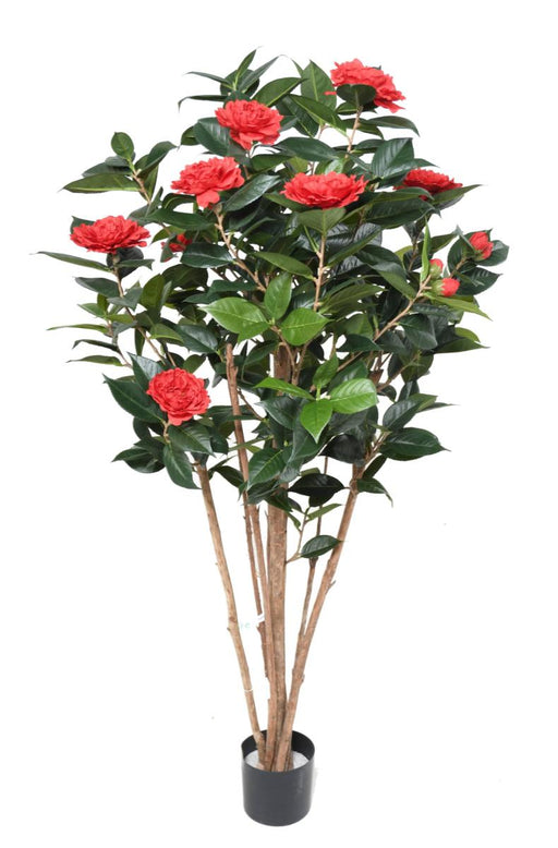 Kunstig Camellia Japonica Tre 130 Cm Rød