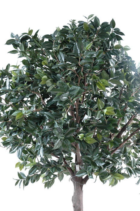 Kunstig Camellia Japonica Tree 300Cm Interiørdekorasjon