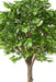 Artificial Tree Oak Head 210 Cm Innendørs Plante