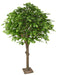 Artificial Tree Oak Head 210 Cm Innendørs Plante