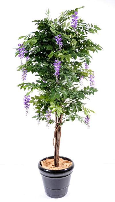 Kunstig Wisteria Parma Tre For Innendørs 110 Cm