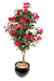 Kunstig Impatiens Fuchsia Tre H.110Cm Innendørs Plante