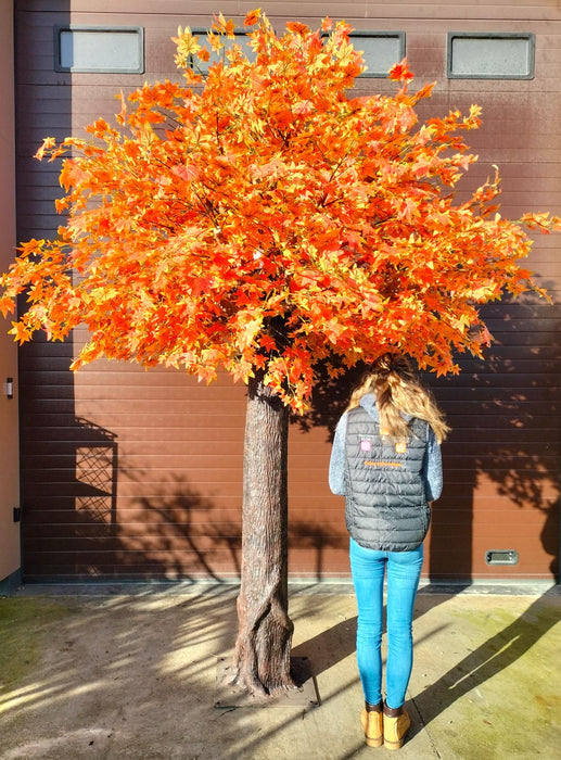 Kunstig Appelsintre Aralia Maple 300 Cm