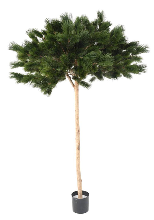 Artificial Furu Paraply Tree 210 Cm For Innendørs