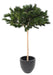 Artificial Furu Paraply Tree 210 Cm For Innendørs