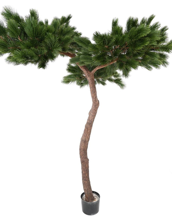 Artificial Pine Paraply Tree Innendørs H.240Cm