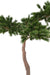 Artificial Pine Paraply Tree Innendørs H.240Cm