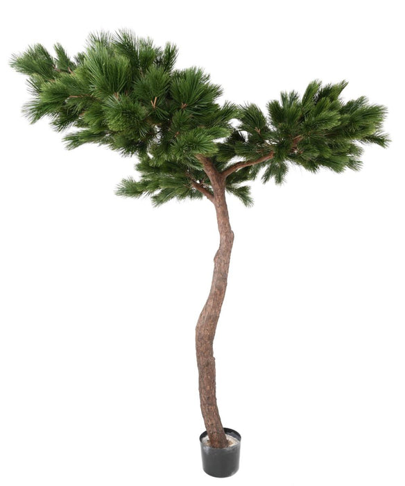 Artificial Pine Paraply Tree Innendørs H.240Cm