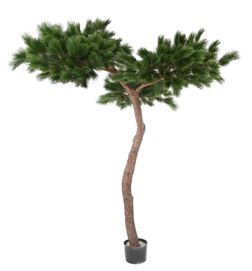 Artificial Pine Paraply Tree Innendørs H.240Cm