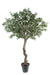 Kunstig Pittosporum Tree 260 Cm Interiørdekorasjon