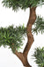 Kunstig Podocarpus Cloud Tree H135Cm For Utendørs