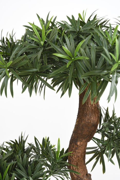 Kunstig Podocarpus Cloud Tree H135Cm For Utendørs