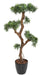 Kunstig Podocarpus Cloud Tree H135Cm For Utendørs