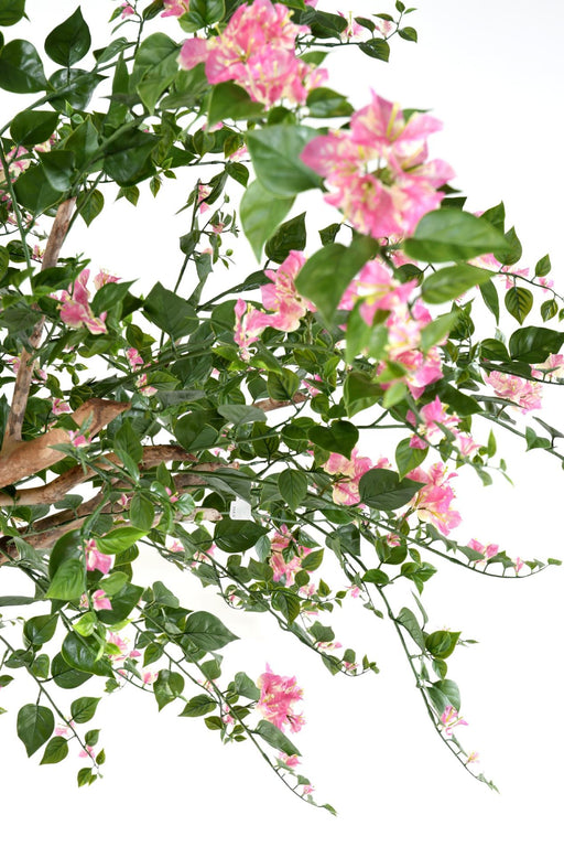 Kunstig Bougainvillea Tree 280 Cm Innendørs Rosa