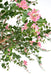 Kunstig Bougainvillea Tree 280 Cm Innendørs Rosa