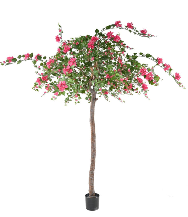 Kunstig Bougainvillea Tree Fuchsia 280Cm