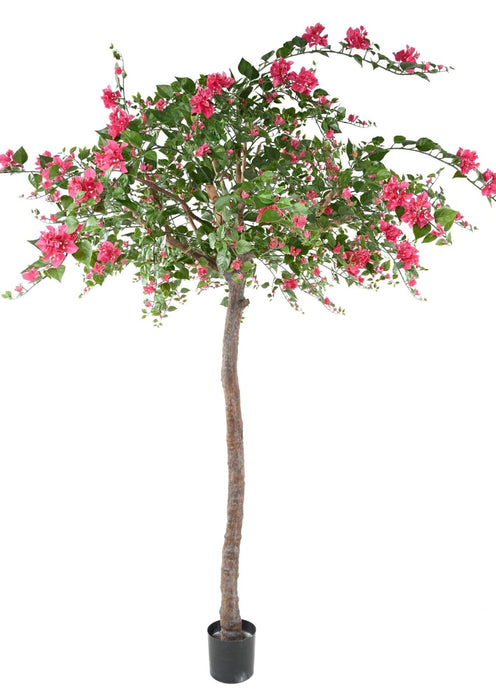 Kunstig Bougainvillea Tree Fuchsia 280Cm