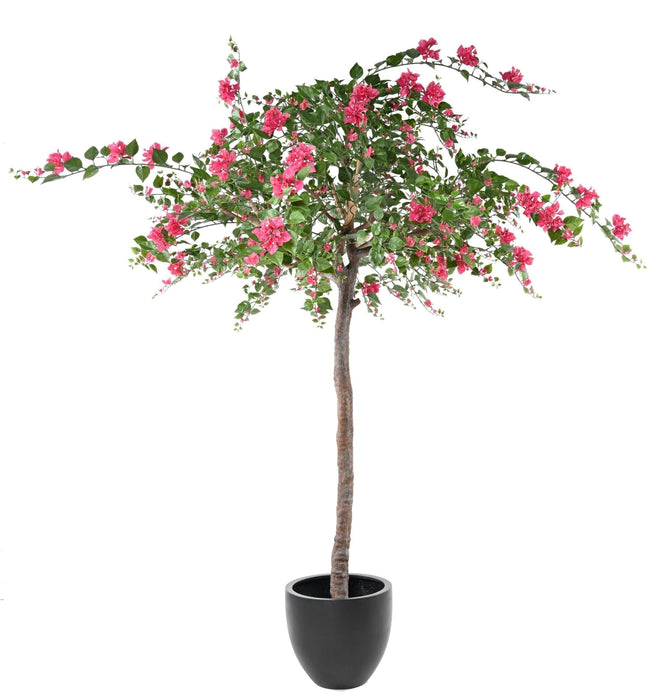 Kunstig Bougainvillea Tree Fuchsia 280Cm