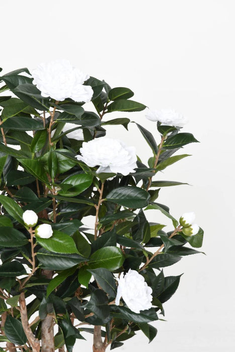 Kunstig Camellia Tree 130Cm 8 Blomster Innendørs Hvit