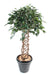 Kunstig Ficus Tree 140 Cm Innendørs Plante