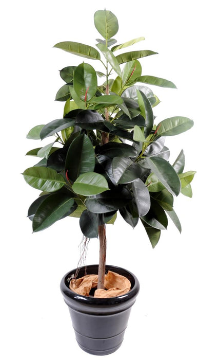 Kunstig Ficus Tree 150 Cm Syntetisk Plante